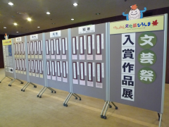 展示風景